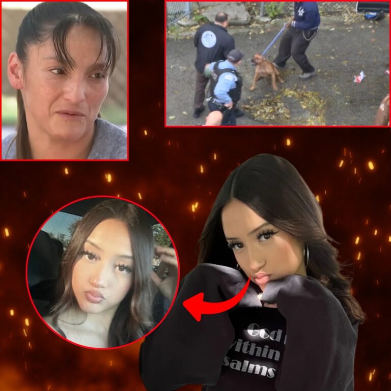 535003818_122173241354375634_8356306266619430912_n