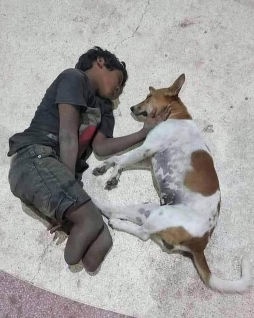 535034364_122147283128672293_2364256704874776750_n