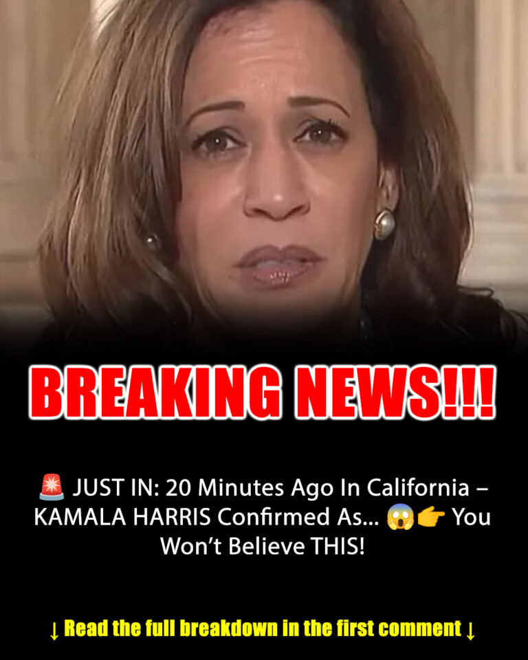 535248238_795657693141473_2974970685381322484_n