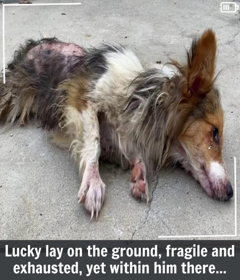 536886154_122284292600220091_4427027156572687126_n