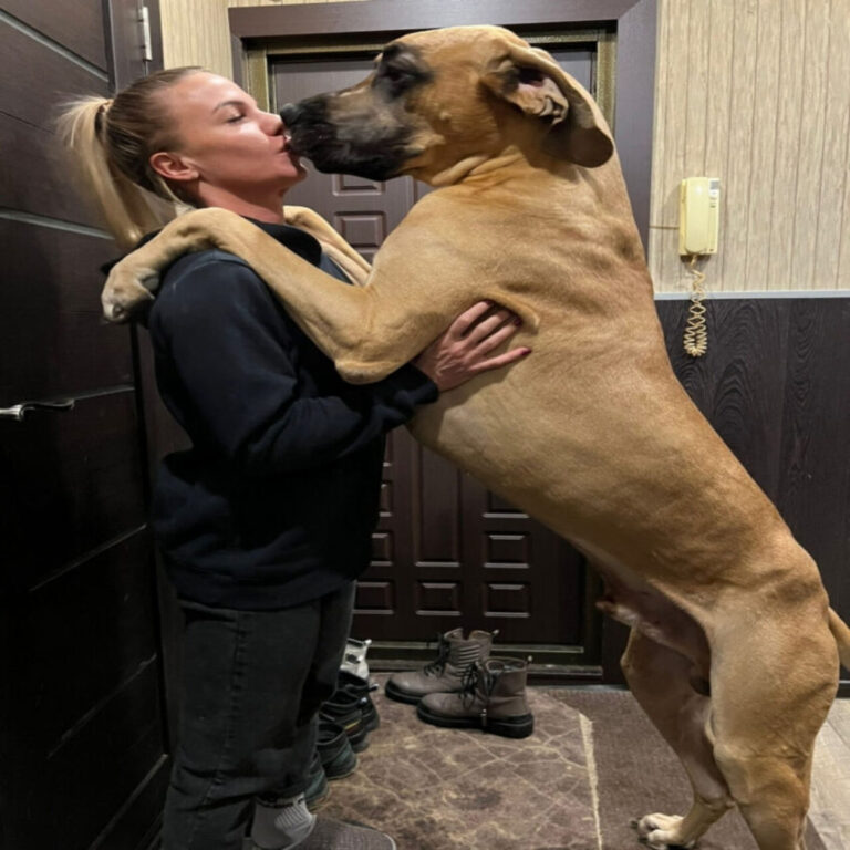 537488752_1310486767302816_8572959285162866986_n-850x850