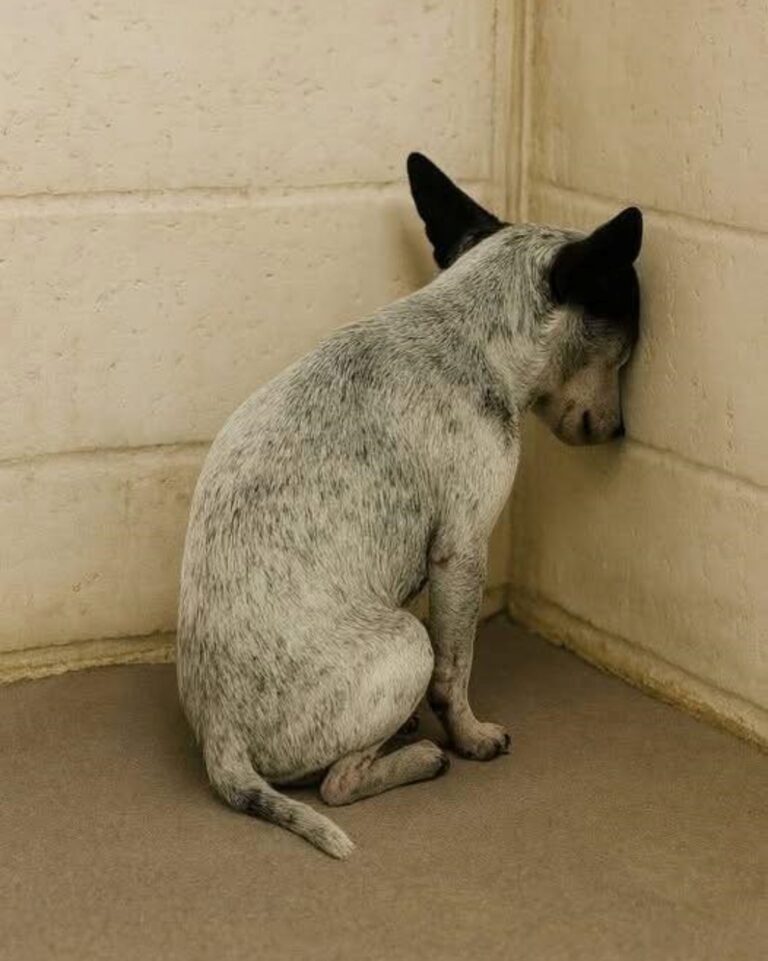 538226812_779028708151663_7407497996430875428_n