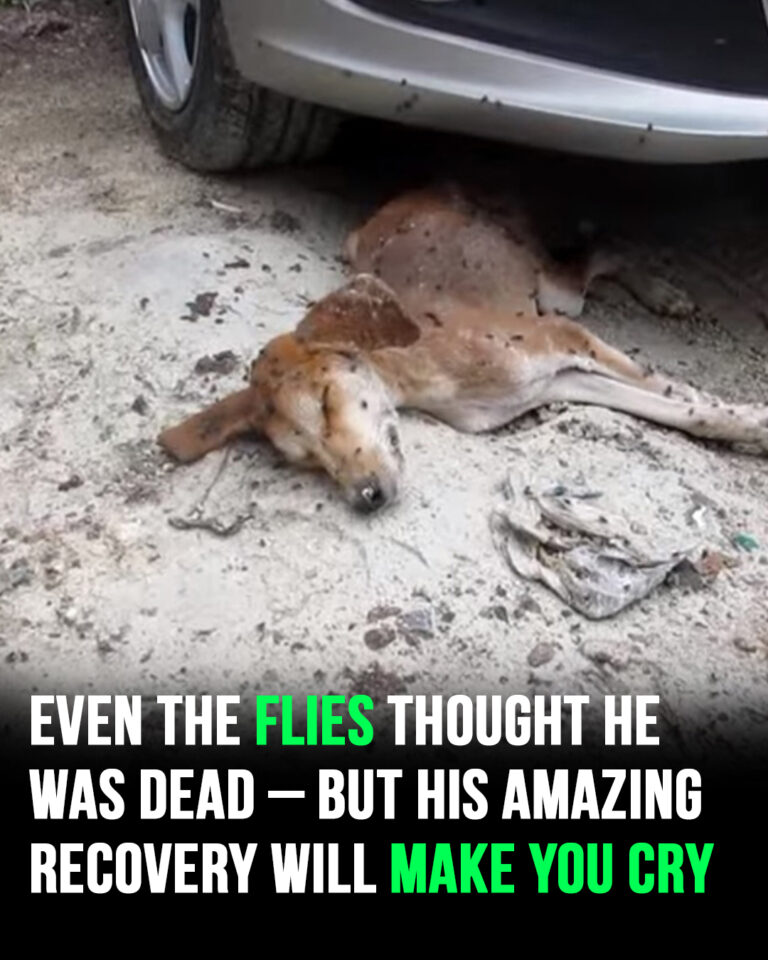 538621532_1223252639847471_6552890807914608142_n