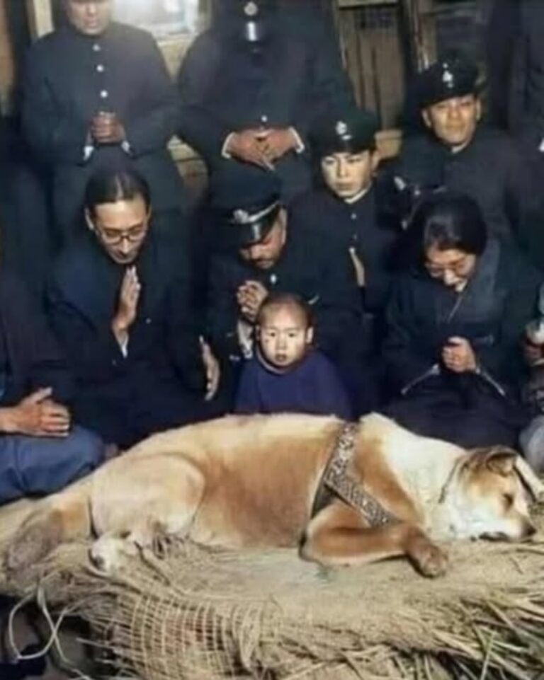 539301592_122148133328672293_4709138230194712330_n