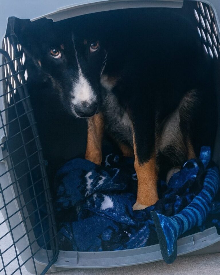 539518597_122148283214672293_4373874210785434234_n-850x1063