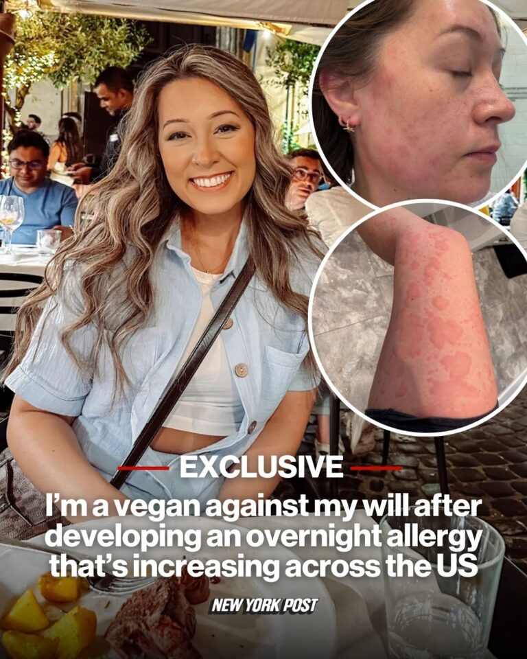 539803826_1182051880453473_3785671345169330502_n