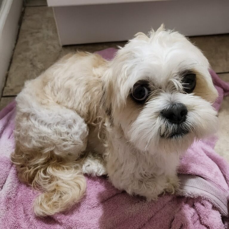 539845853_122148253232672293_228708137196992454_n