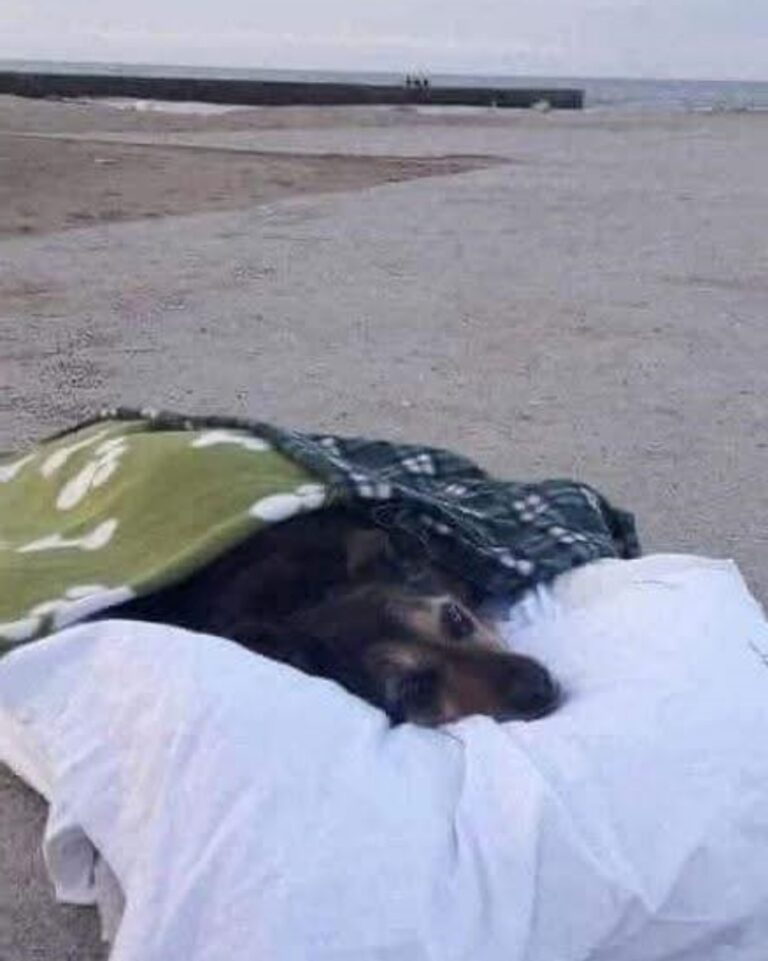 540901174_122148589160672293_5547343532702526224_n