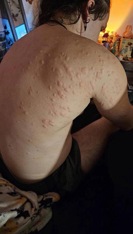 540971263_781714441216423_1489894194418423648_n