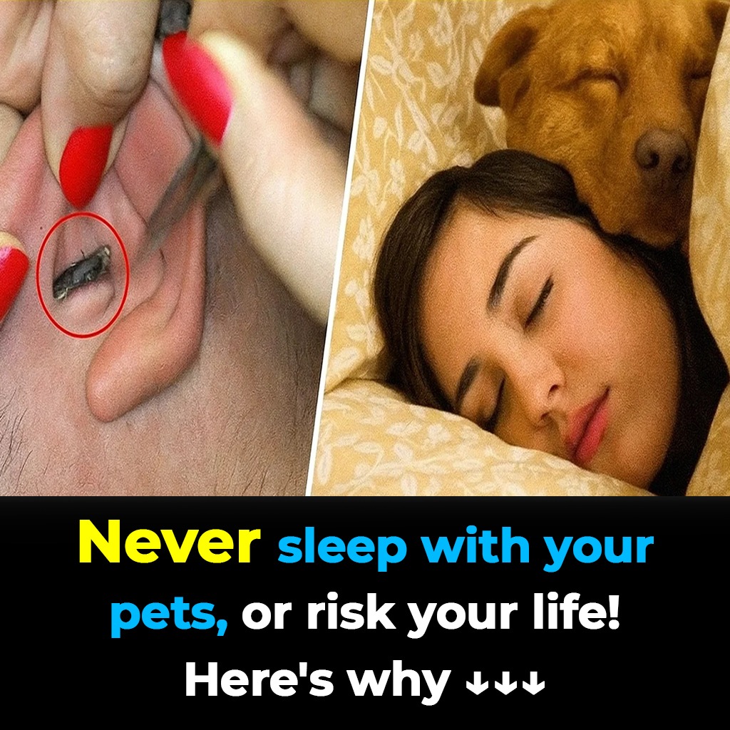 539892965_122236570202157339_3622812071881002734_n