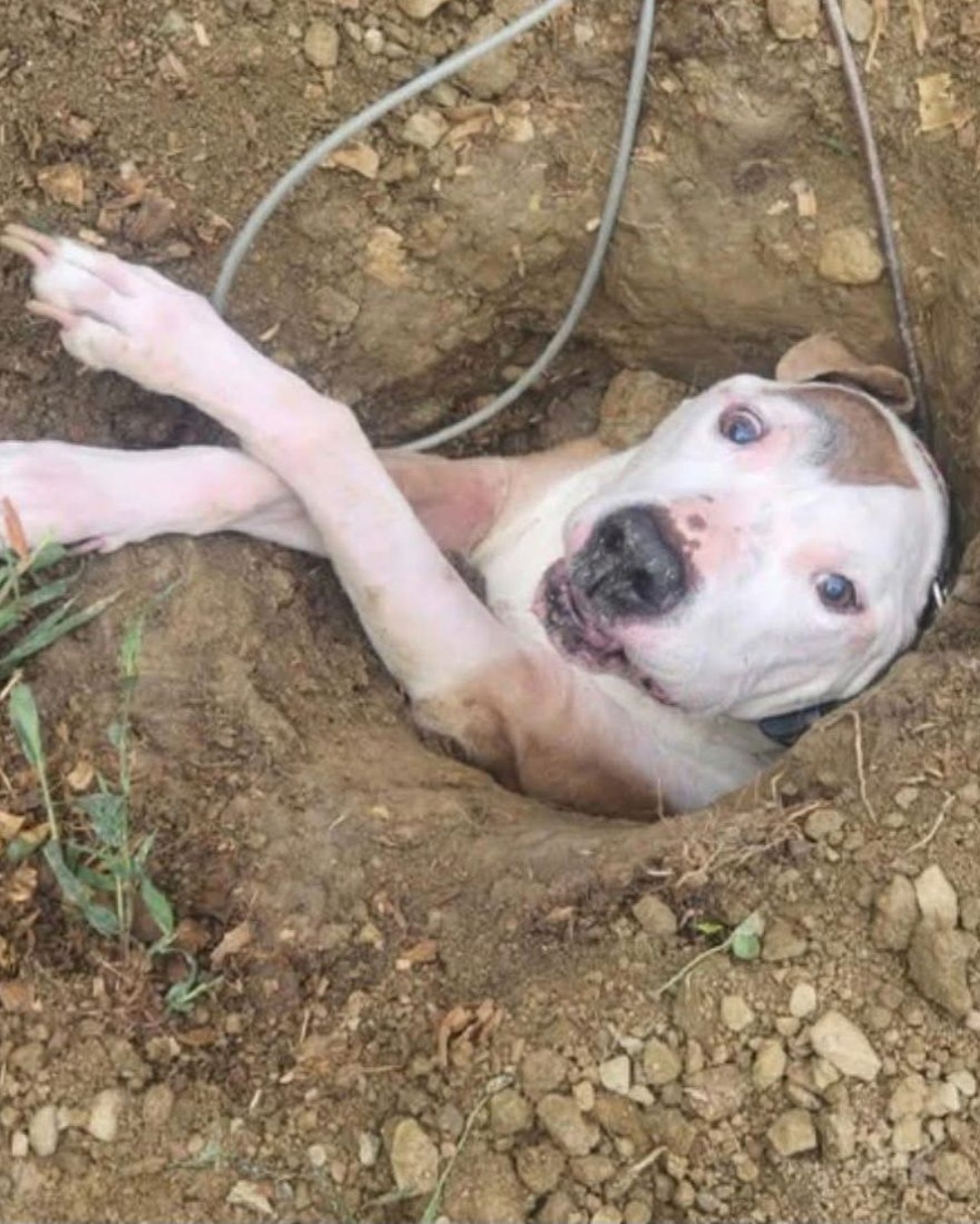 540575101_122148715136672293_5463332005626485870_n