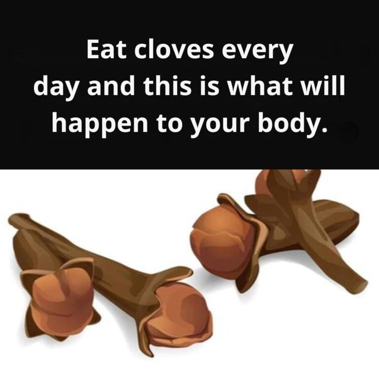 540618264_122236664990157339_8944723706173507355_n