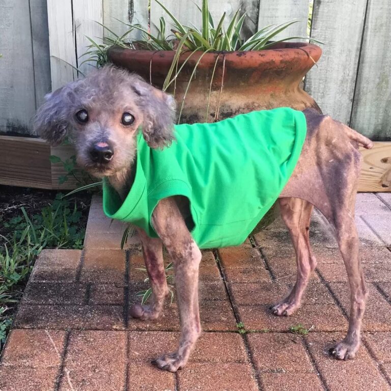 541252165_122148702032672293_4053075026754403310_n