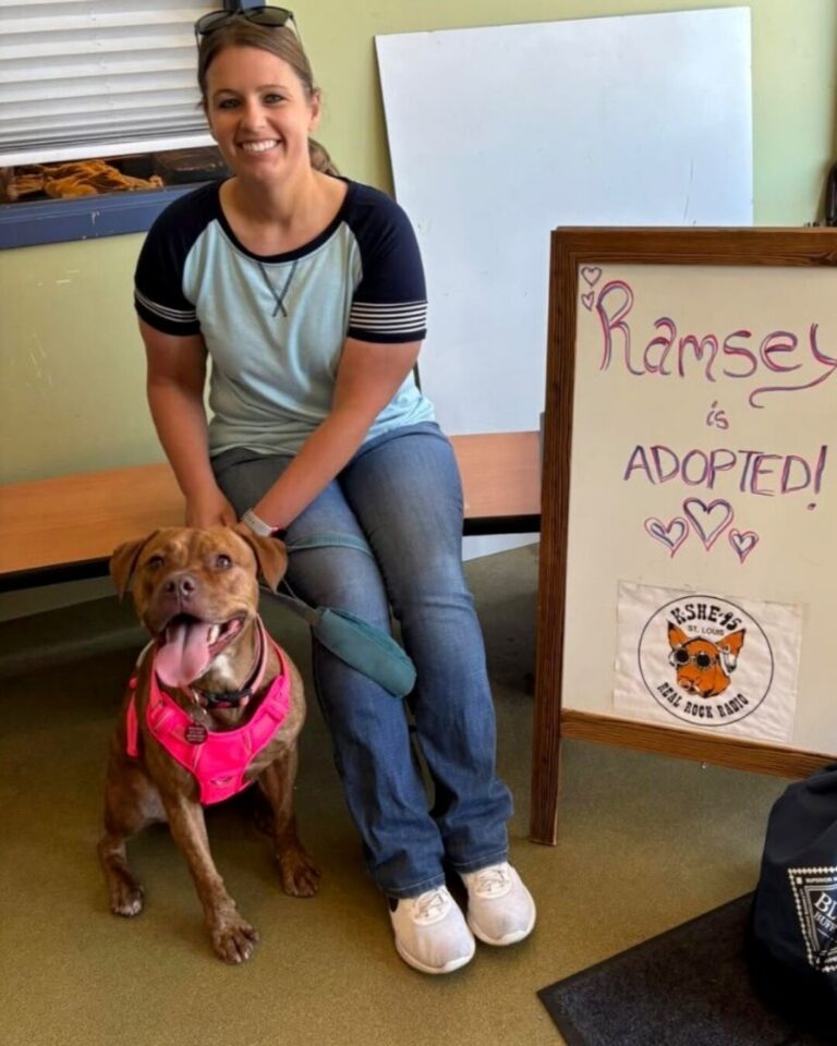 541677172_122149063274672293_2595434354488456448_n