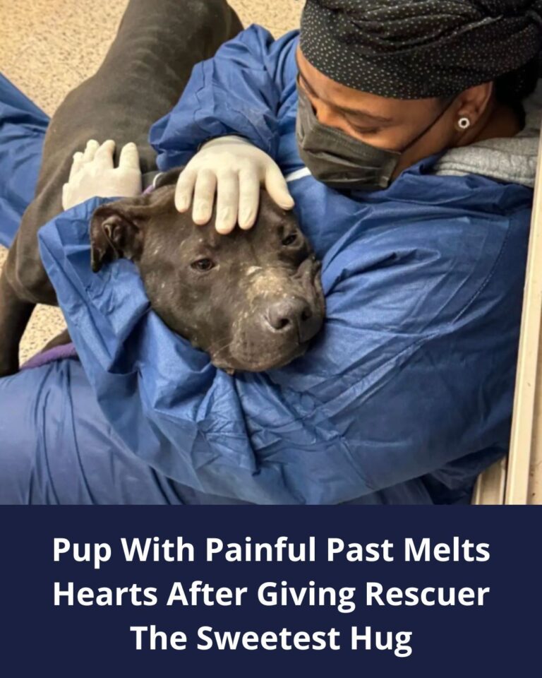 542261696_122149086716672293_2782268013384026755_n