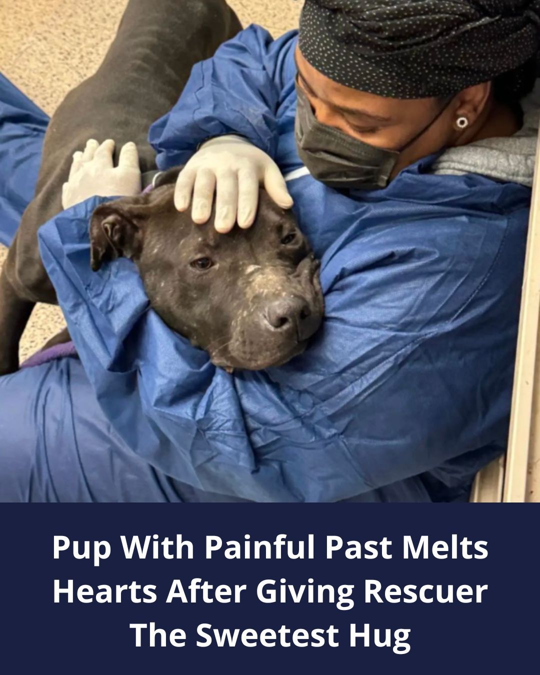 542261696_122149086716672293_2782268013384026755_n