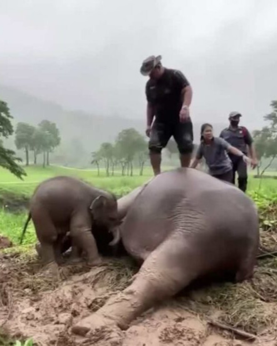 542337886_122148994514672293_2579522552813371564_n (1)