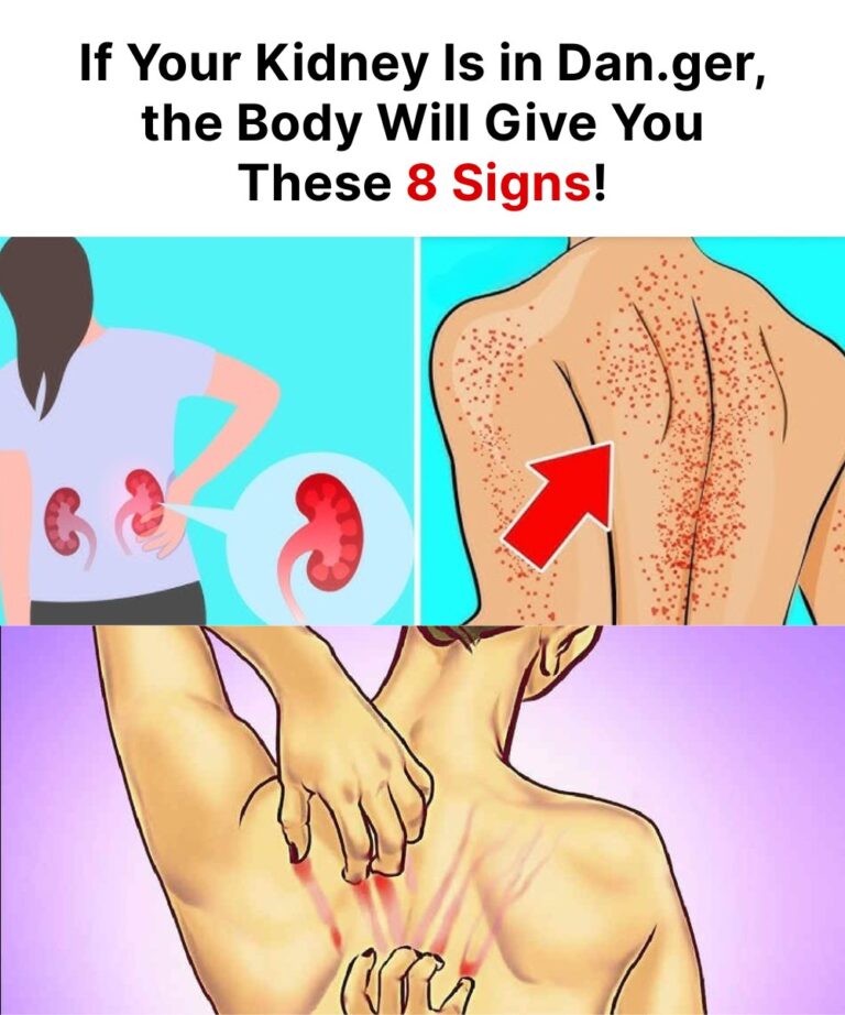 542758389_122237466530157339_2724608522849685795_n