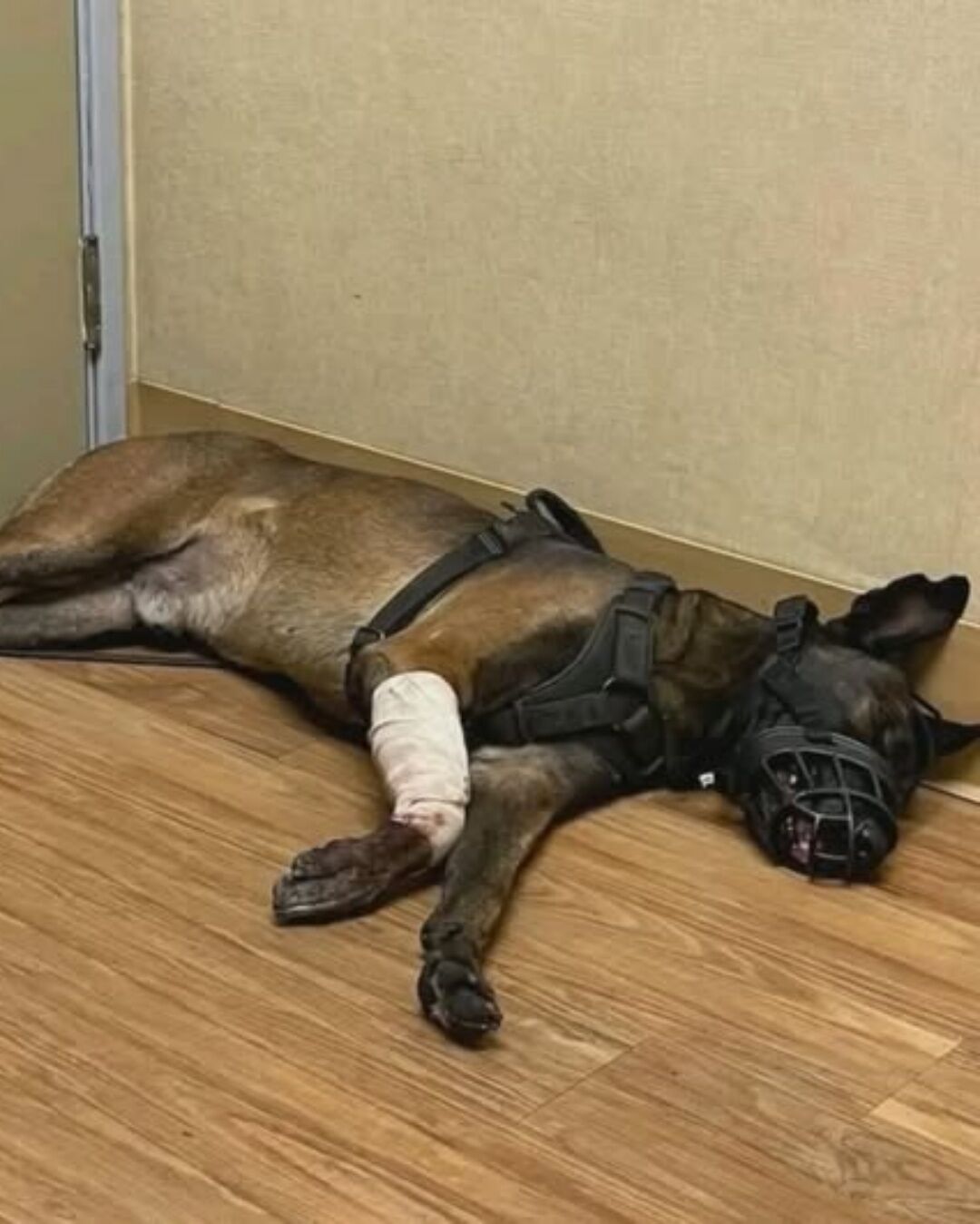 543454344_122149127948672293_5646423042958942669_n