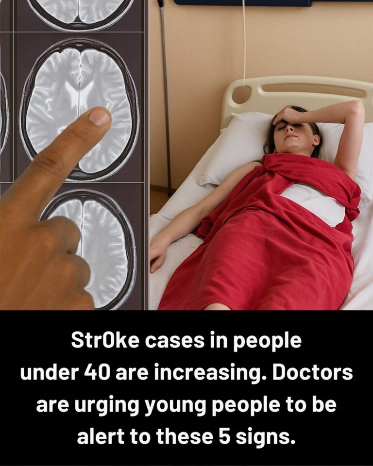 543466972_122237531678157339_2255904977035920706_n