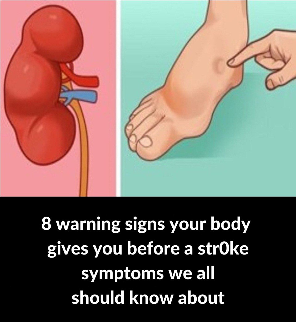 544639249_122238094610157339_3215879843861249711_n