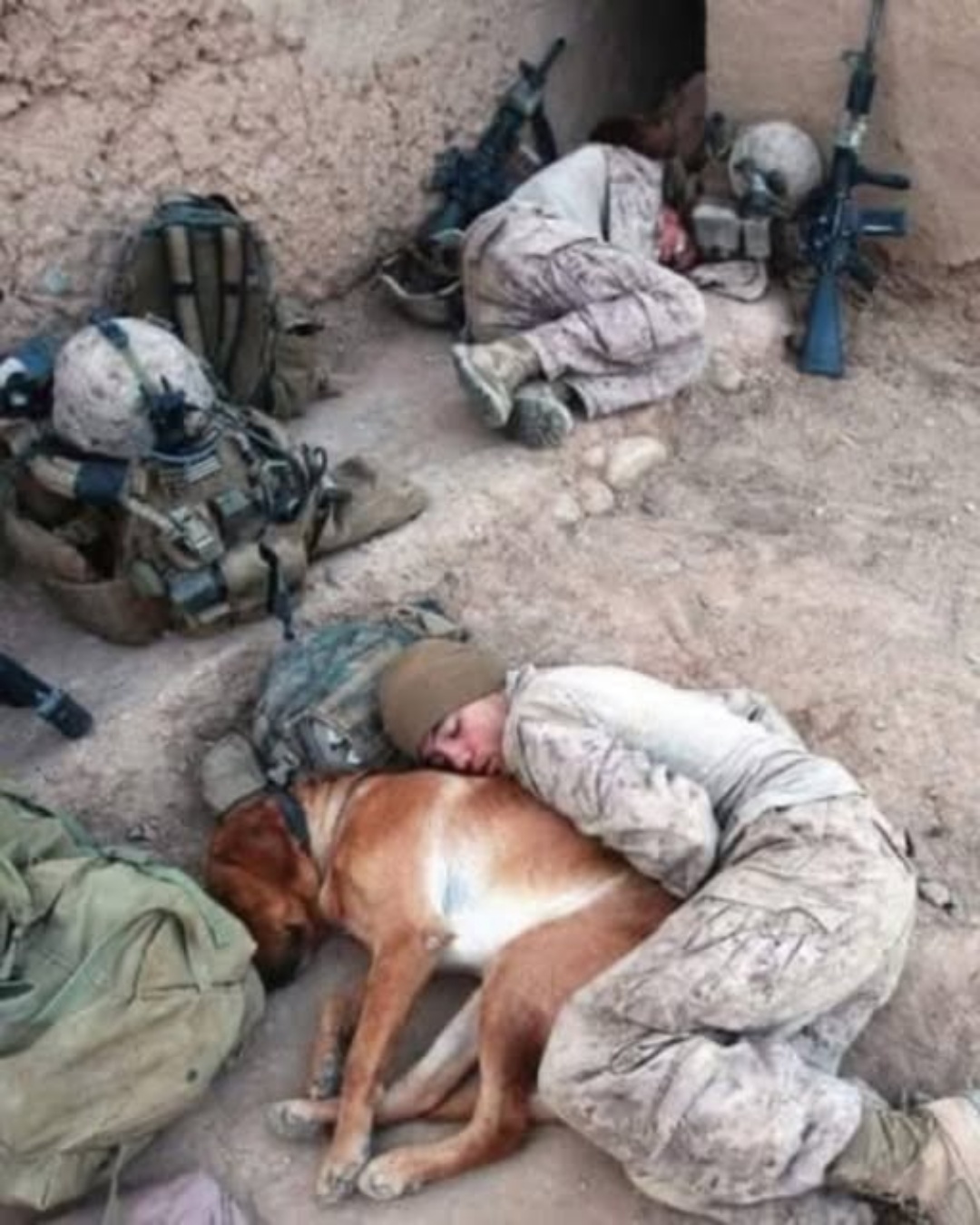 544717284_122149160918672293_8263313438838268532_n