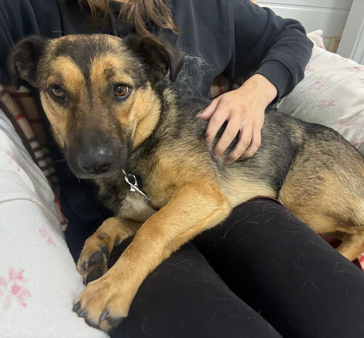 544731905_122149376984672293_5458175200076896251_n