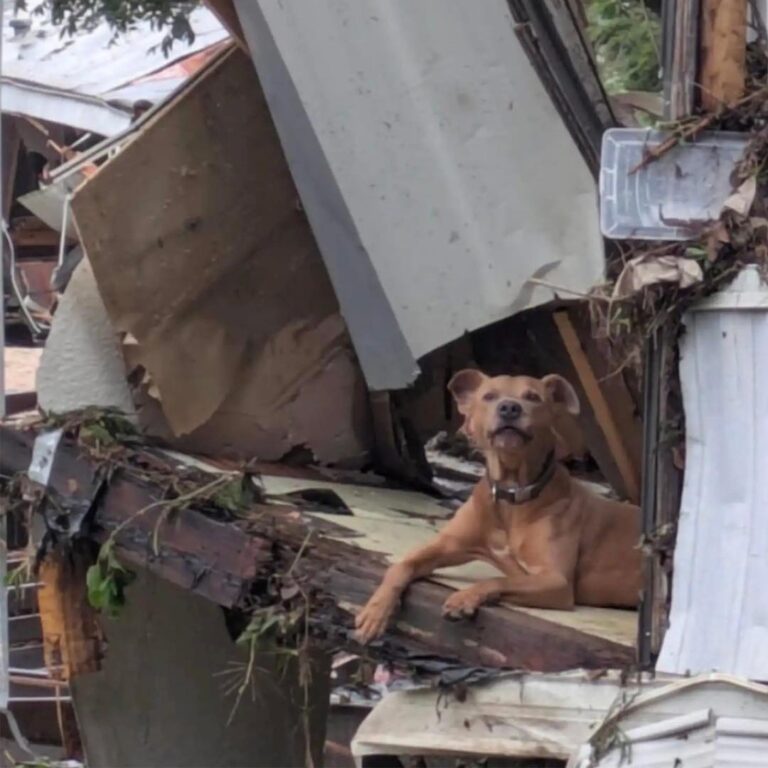 544788310_122149316216672293_1421847070019112688_n