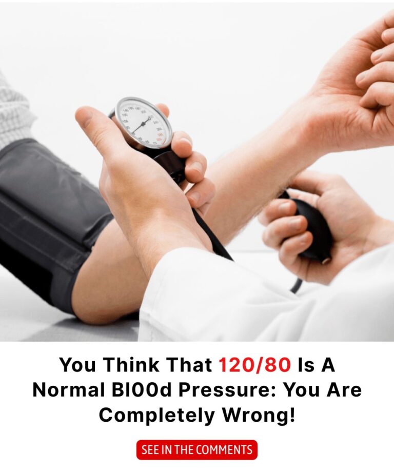 545273786_122238071090157339_4381515844161079507_n