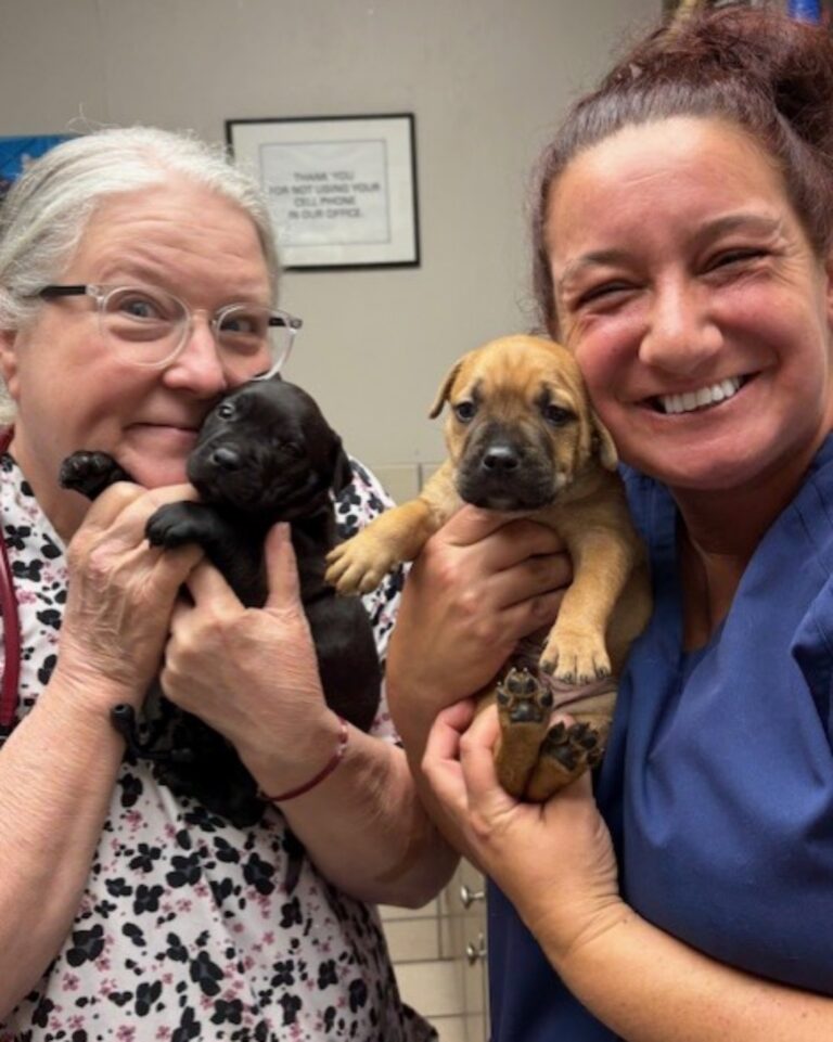 545276205_122149291748672293_1059616067942713483_n