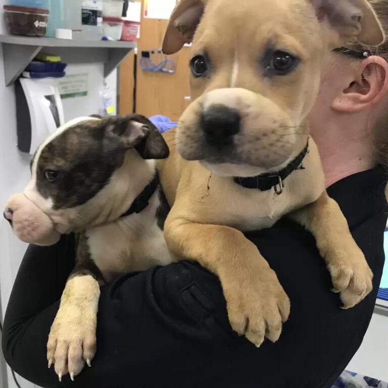 545414333_122149467920672293_2156095259328762381_n