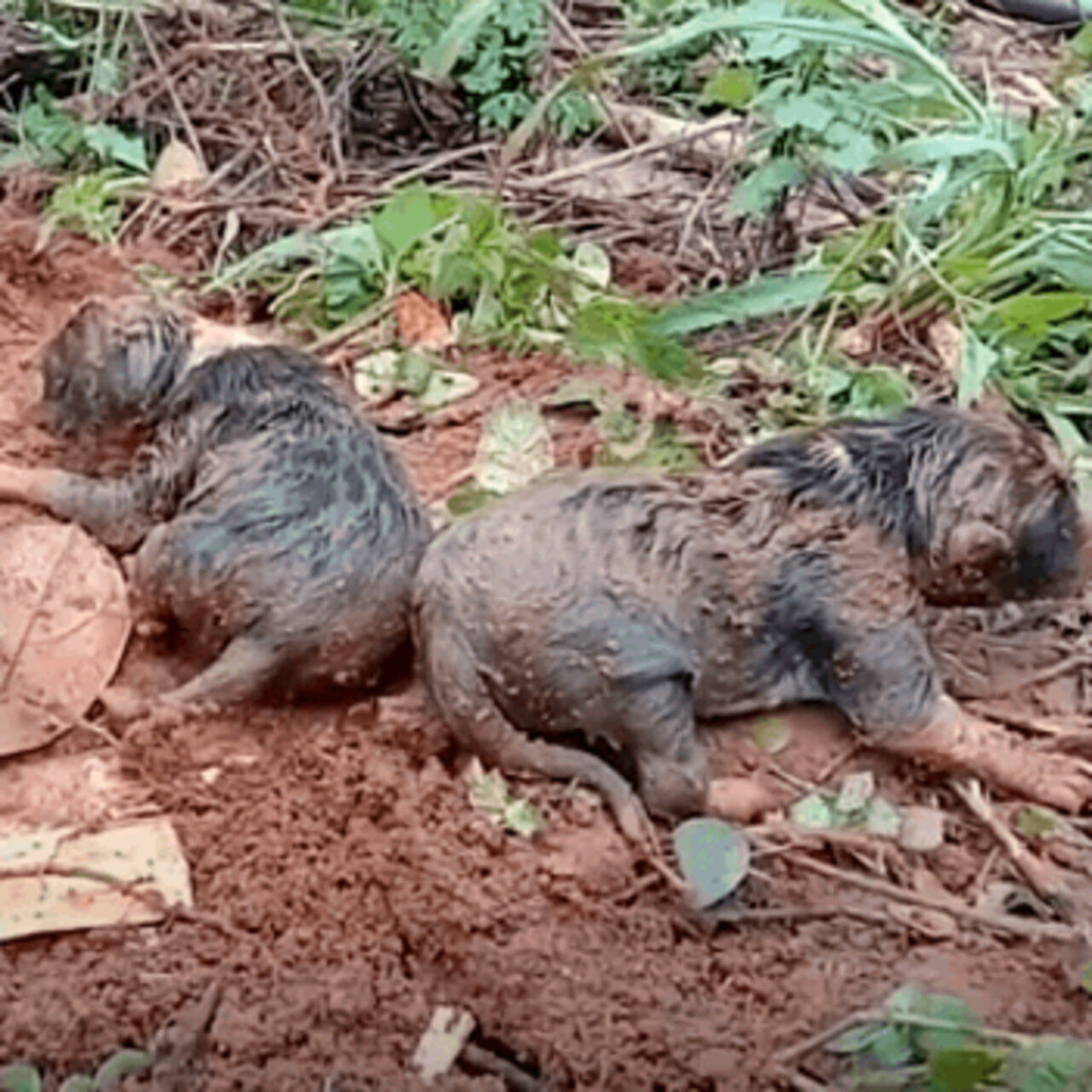 545617455_122149278296672293_5610913000567133471_n