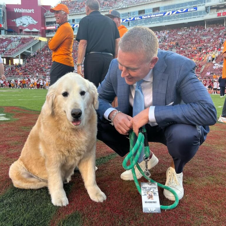 546508818_122149743476672293_8734578918554650165_n