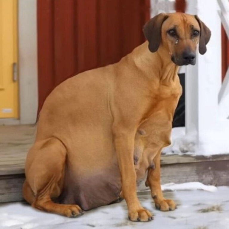 547467158_1233767585431216_6972399725396866682_n-850x850