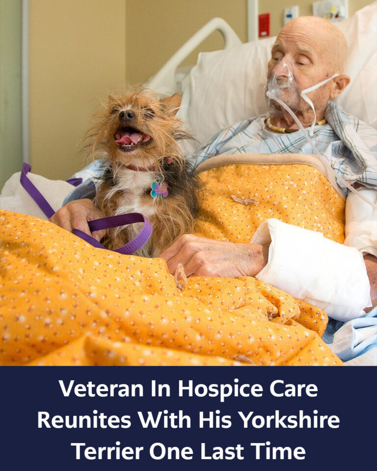 548159341_122149806188672293_8667453463353517324_n