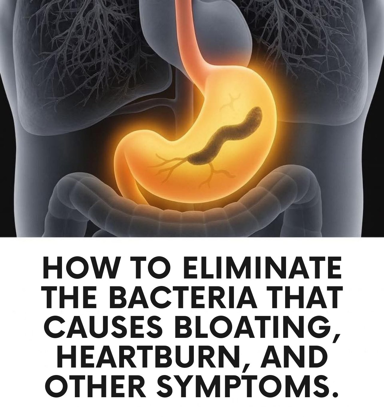 548469655_122239530734157339_2516761881310878326_n