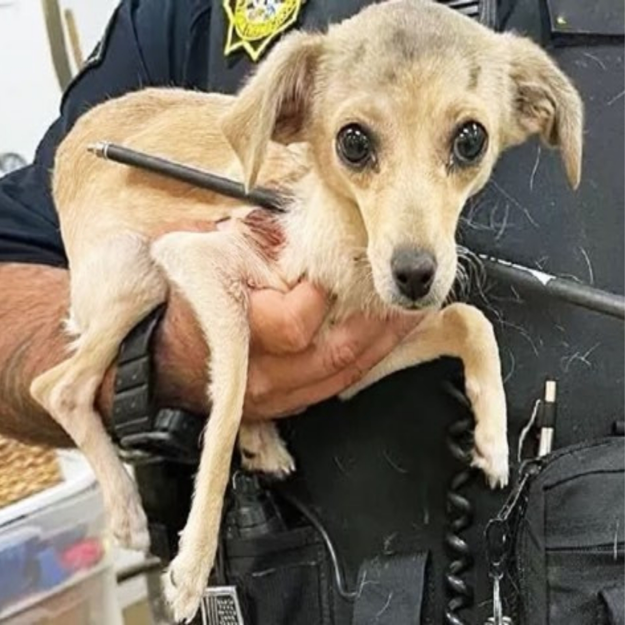 548670749_122150106122672293_9159878218402623562_n