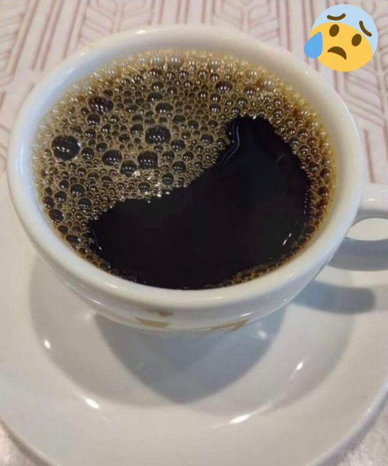 549299090_122239395908157339_8849887432927312342_n