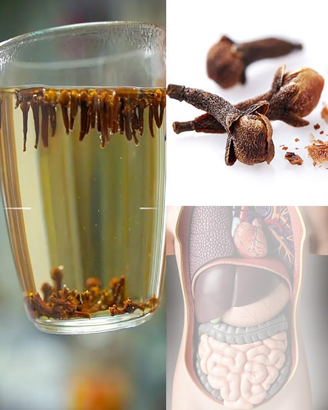 550492703_122239972052157339_1223684735765698901_n