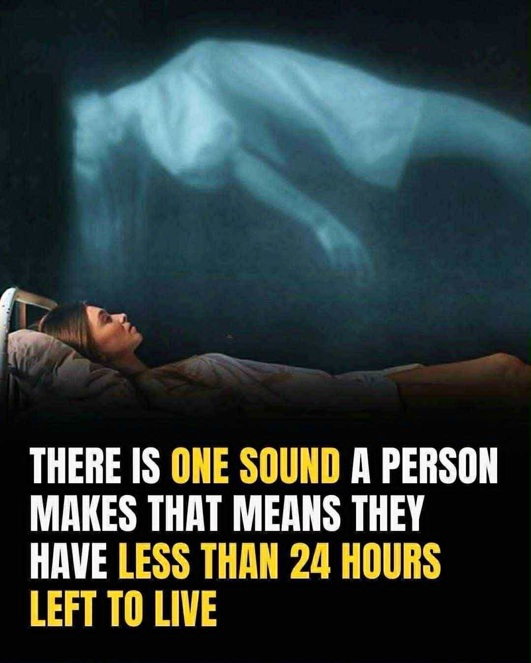 555767789_122241033308157339_498804629939857126_n