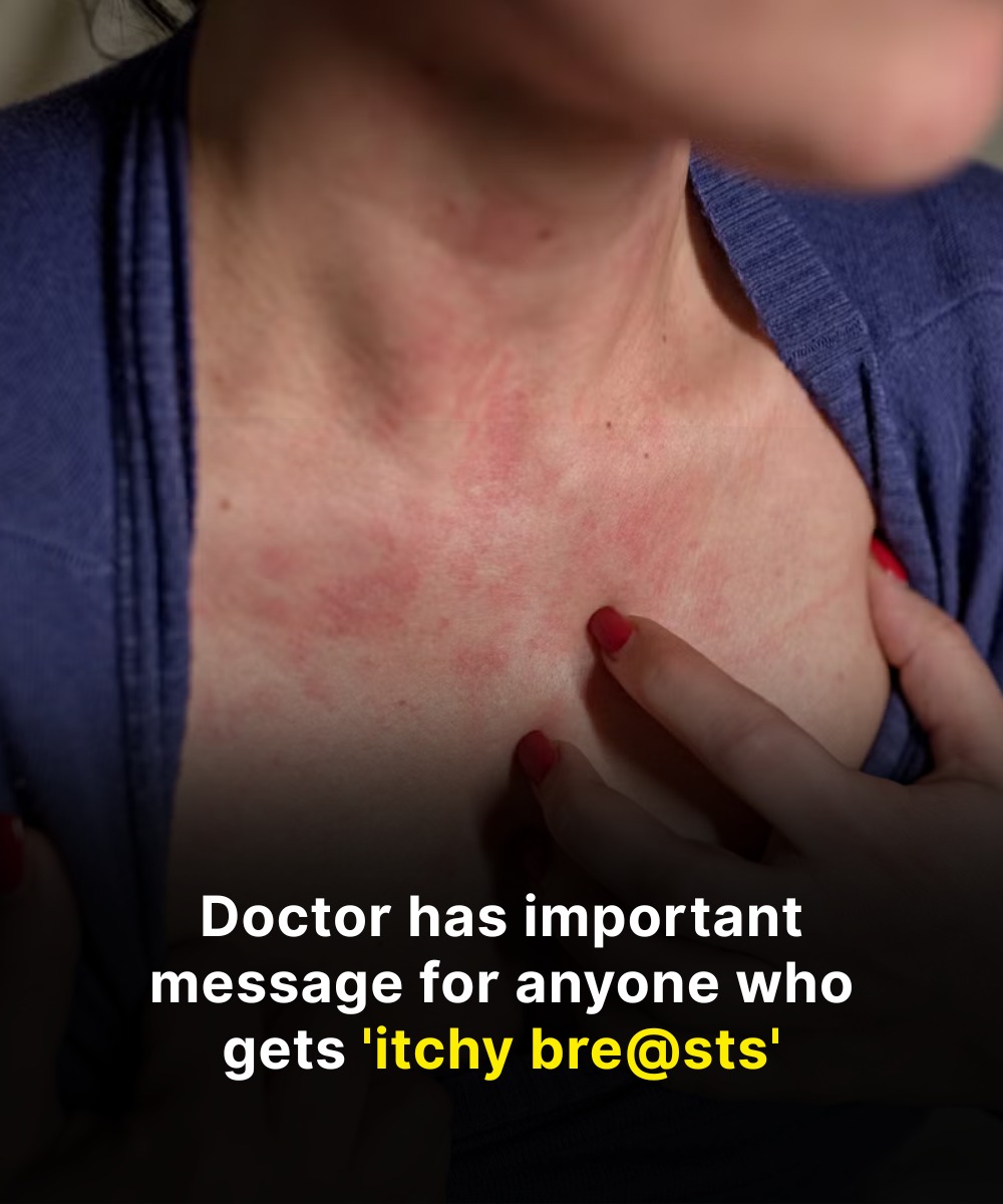 555970750_122240950160157339_6230975674535137633_n