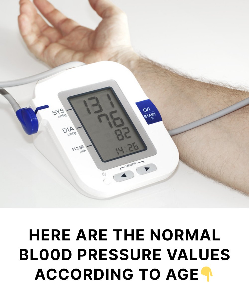 556517336_122241029876157339_8675837215111447109_n