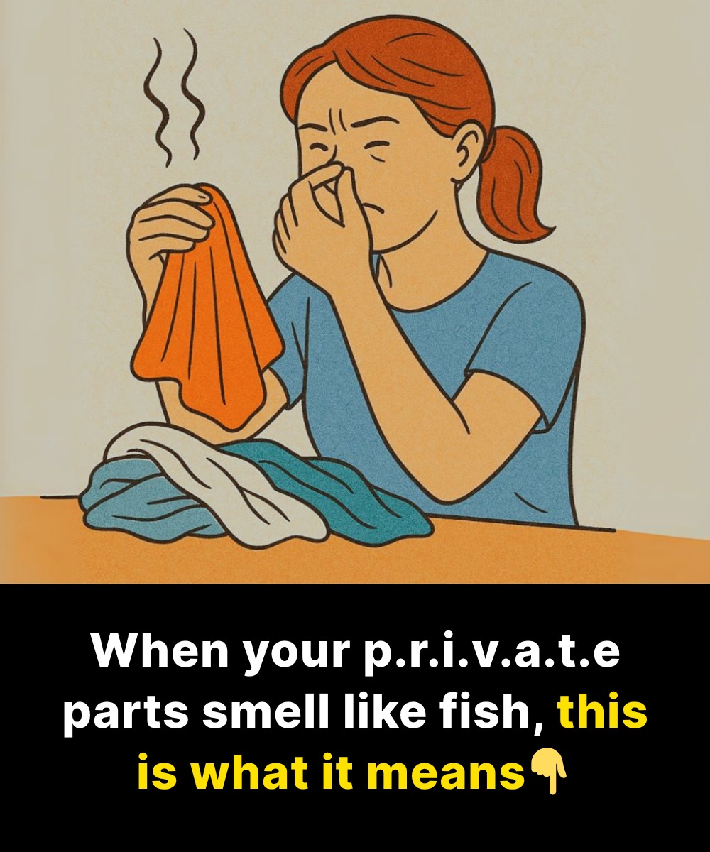 557051244_122241637844157339_4885313636702575498_n