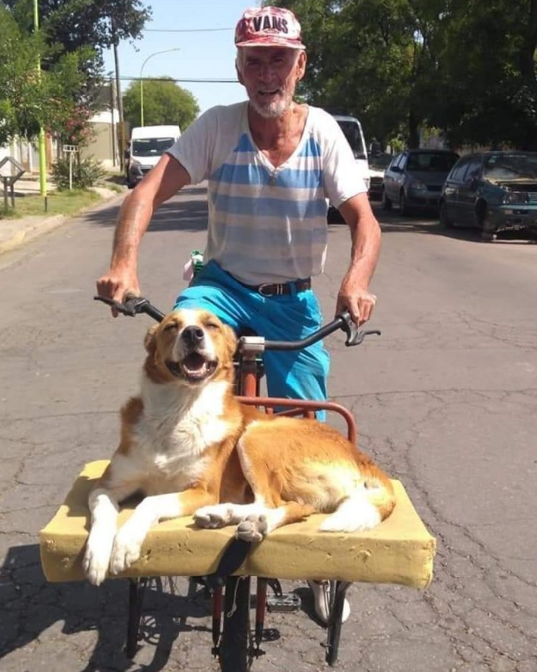 557638554_122151895928672293_3262972349560629563_n