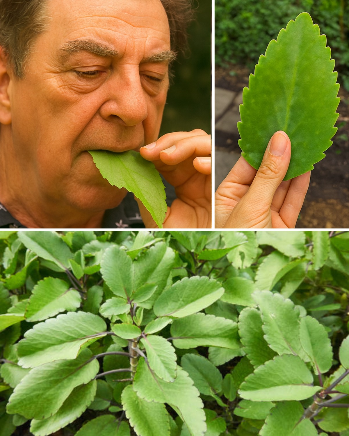 557755015_1226746119489961_6720813032843415446_n