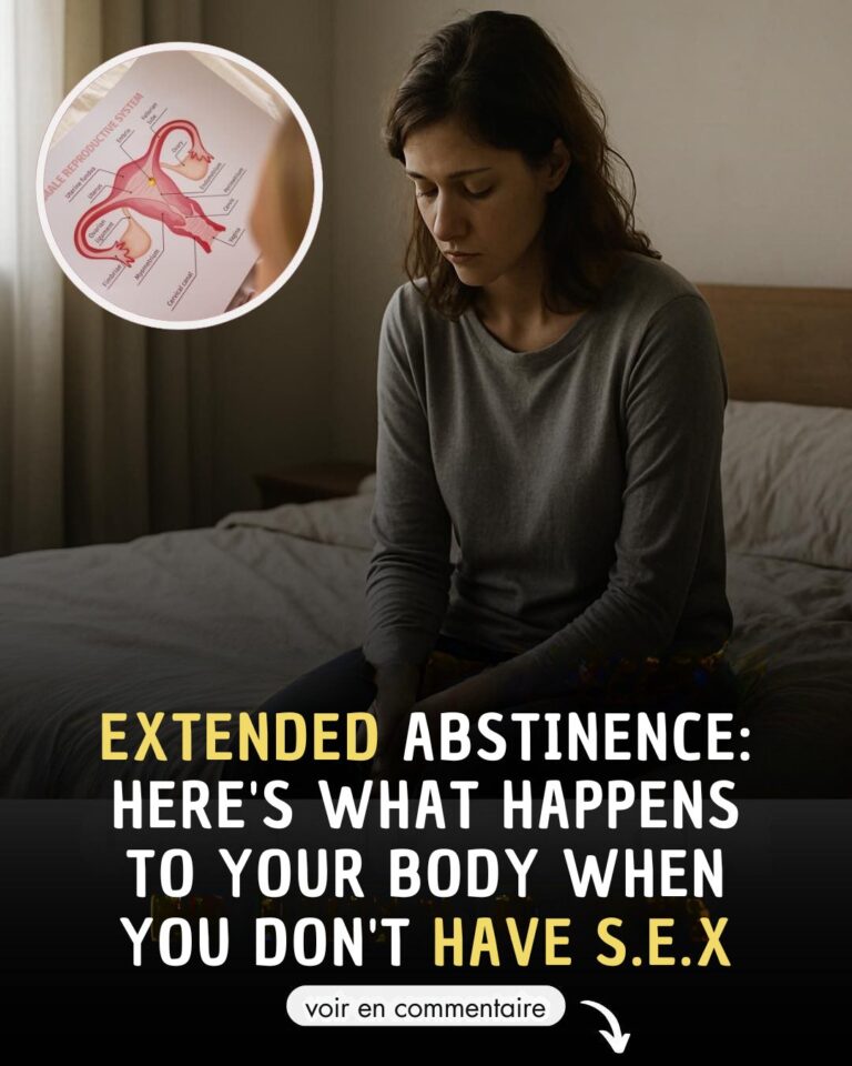 559166674_122241755960157339_5837187347723617755_n