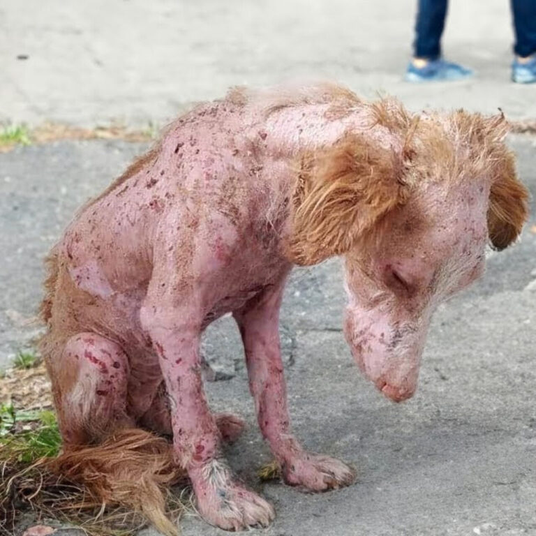 559374116_122152353140672293_6762241017742438346_n