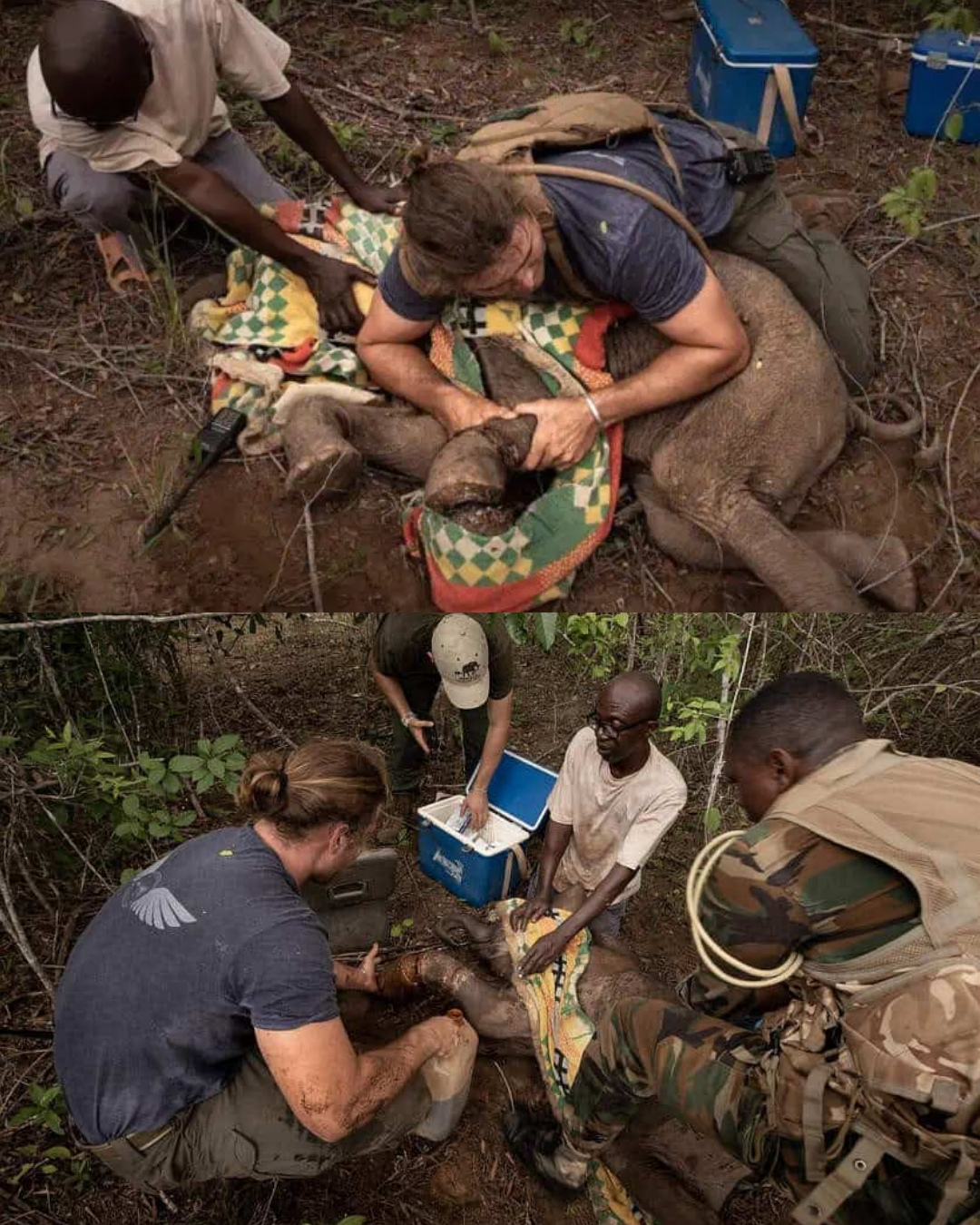 559442698_122152333508672293_938550768269607341_n