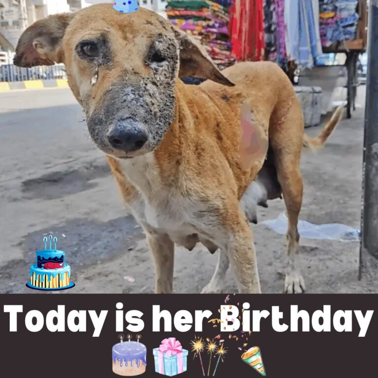 560473308_122186291462374323_2464040038844268825_n