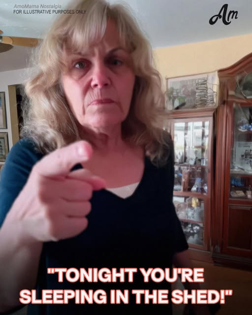 561222468_1149100940771511_4210462096220663381_n